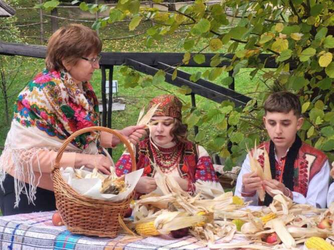 Кукурудзоплетіння у Вишкові