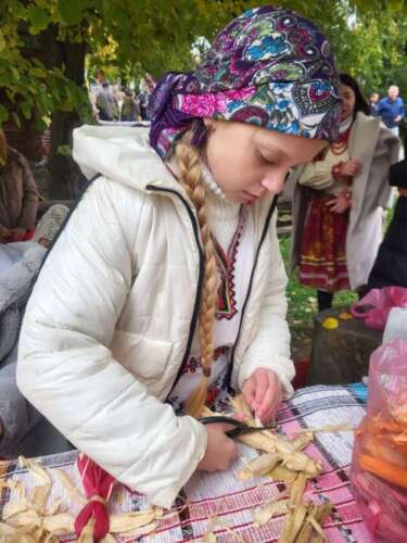 Кукурудзоплетіння у Вишкові