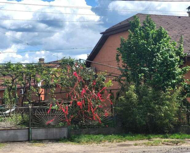«Маяліш» – народна весняна традиція села Сторожниця
